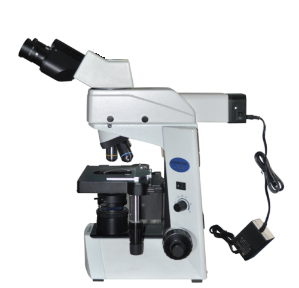 Microscopio Binocular de Fluorescencia Longitud de Onda Única / Olympus CX31
