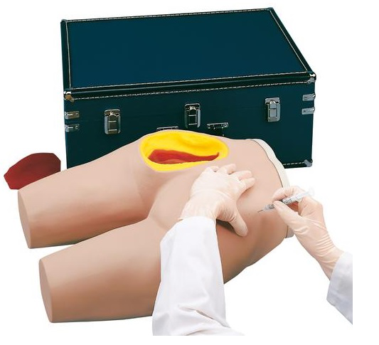 Simulador de inyección intramuscular Nasco LF00961U