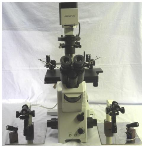 [MO-20] Micromanipuladores
