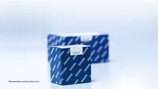 Buffer G2 260ml Quiagen 1014636